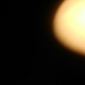 Meet your Posher, Marlon